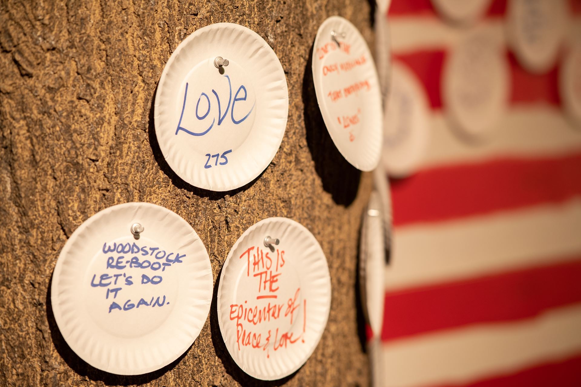 The replica of the Message Tree, designed to model the landmark tree on the field at Woodstock. The original, a red maple tree would serve as a meeting point and be covered in messages like asking people for rides, times to meet, etc. This replica Message Tree (pictured above) allows visitors to We Are Golden to leave their own thoughts about the exhibition and what they want to see in the world. Image courtesy The Museum at Bethel Woods.